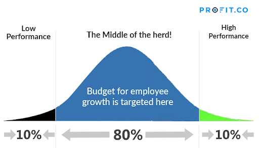 Bell curve structure of budget for employee growth